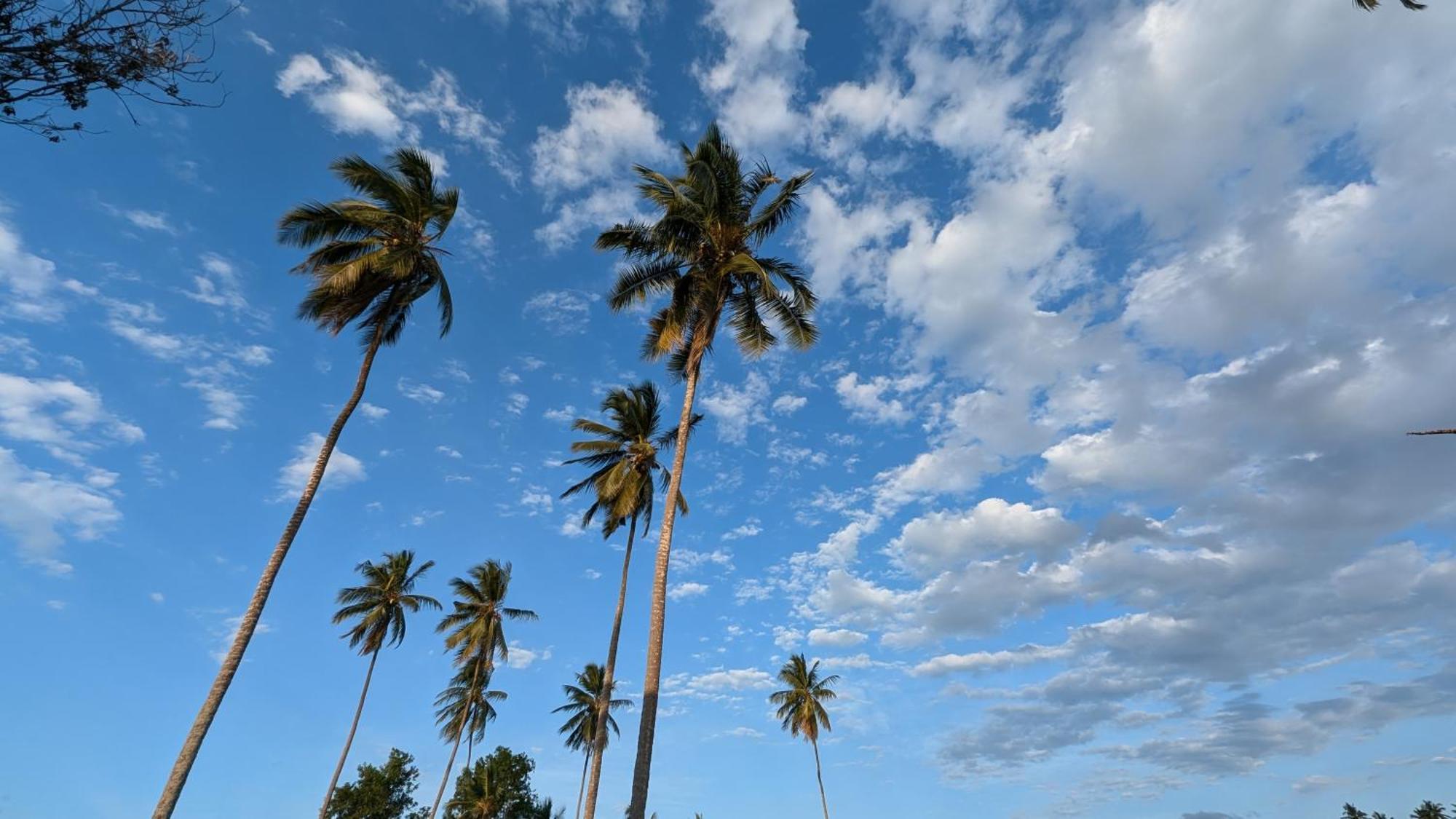 Villa Adelina Zanzibar Zewnętrze zdjęcie